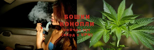 ГАЛЛЮЦИНОГЕННЫЕ ГРИБЫ Тихорецк