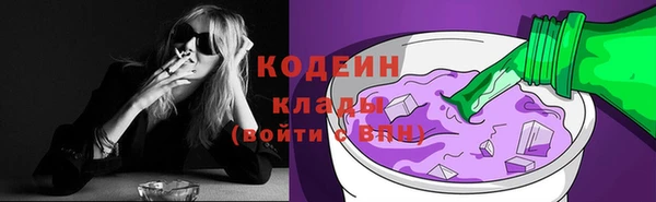 соль ск Тавда